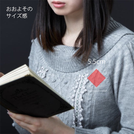 「ハシボソさん / ブローチ / Palnart Poc」美しいカラスのピンブローチ【残り僅か!】